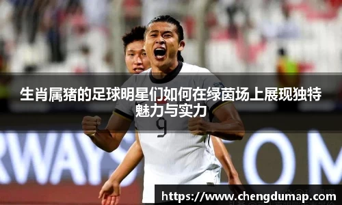 生肖属猪的足球明星们如何在绿茵场上展现独特魅力与实力